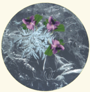 Ice and violet